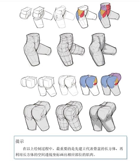 屁股 畫法|基础绘画—动漫人物臀部画法教程